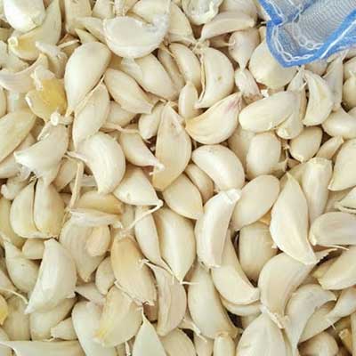 garlic clove
